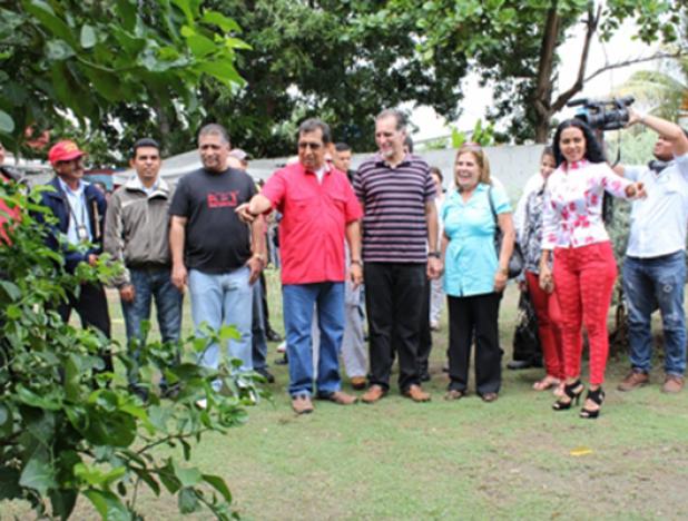Barinas-3
