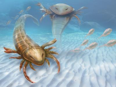 pentecopterus_0