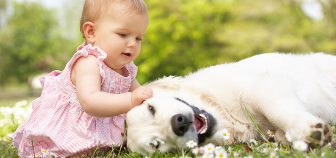 educación-infantil-perros-y-niños