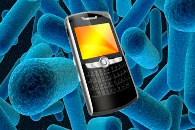 telefono-bacterias-inodoro630