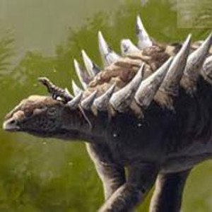 Hallan-en-España-fósiles-de-dinosaurio-con-espinas-en-vértebras