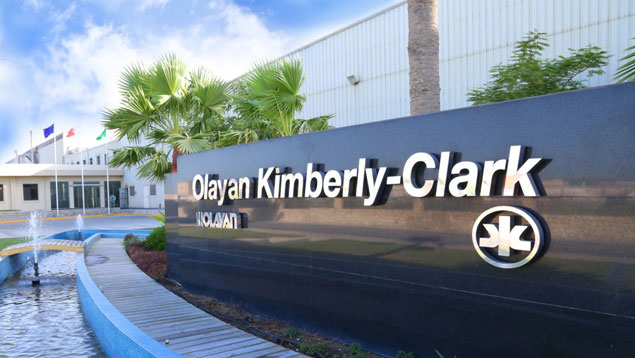 Kimberly-Clark1