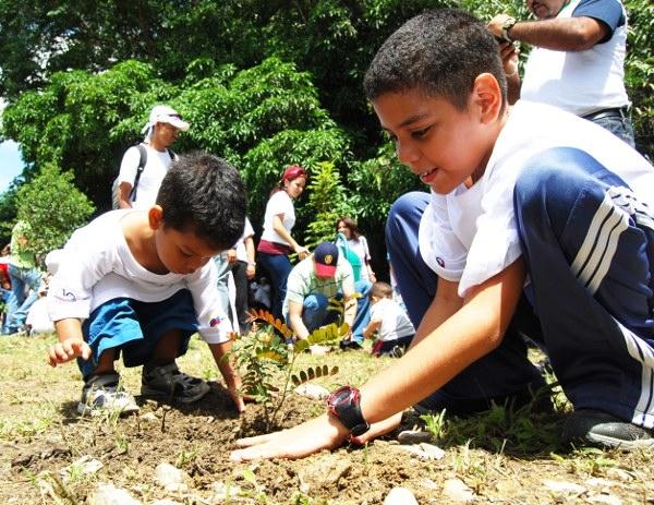 VENEZUELA--Celebran-el-9-aniversario-de-la-Misi-n--rbol--Debemos-preservar-la-naturaleza-y-las-especies-