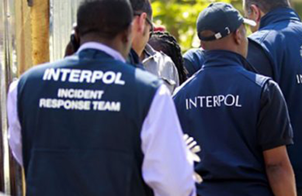 interpol-