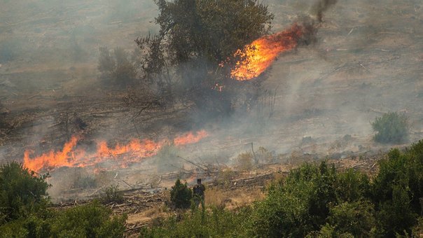 chile-por-que-los-incendios-jpg_604x0