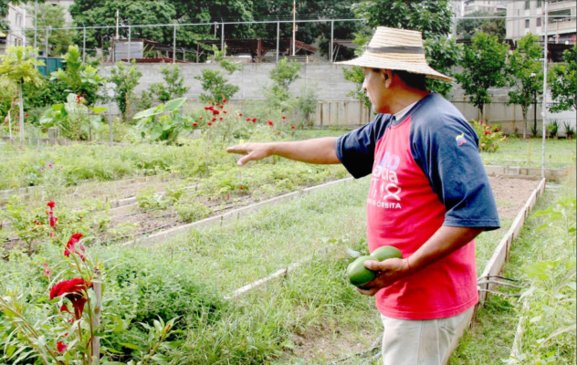 gonzalo-morales-AUDIO-Caracas-se-reverdece-con-la-Escuela-de-Formaci-n-de-Agricultura-Urbana-Mi-Conuco-86-8243--632x400