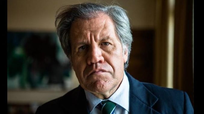 LUIS-ALMAGRO-1-678x381