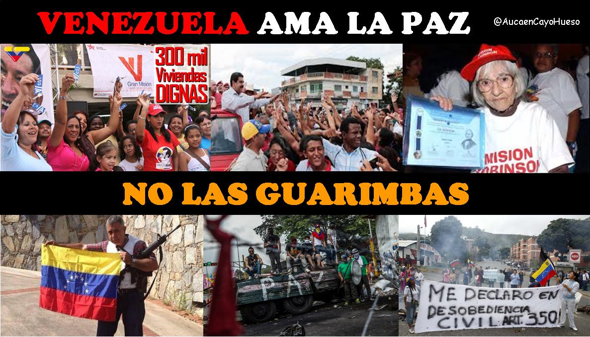 venezuela-ama-la-paz-no-las-guarimbas