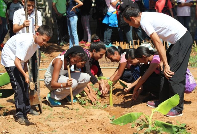 escuelas abiertas