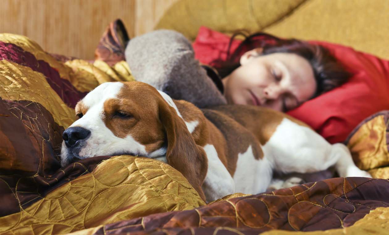 ventajas-y-desventajas-de-dormir-con-tu-mascota