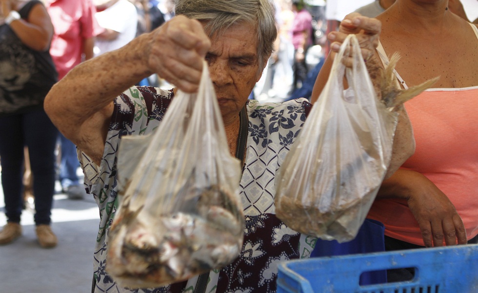 feria-pescado-2