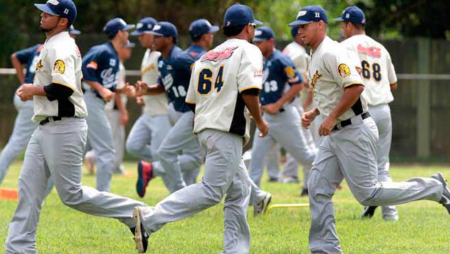 leones-del-caracas