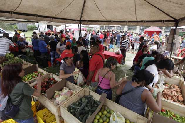 Feria-del-campo