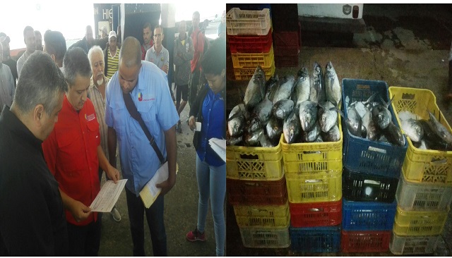 Fiscalización del pescado en Mercado Mayor de Coche (2)