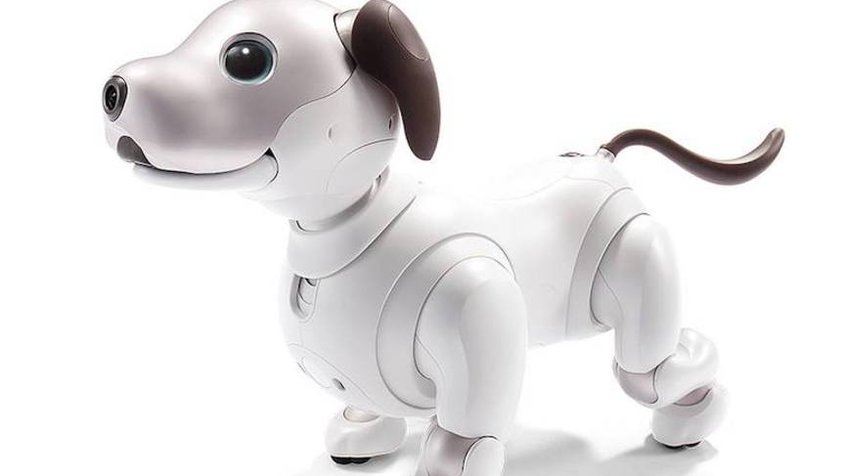Sony lanzará su perro robot Aibo fuera de Japón, pero a un precio