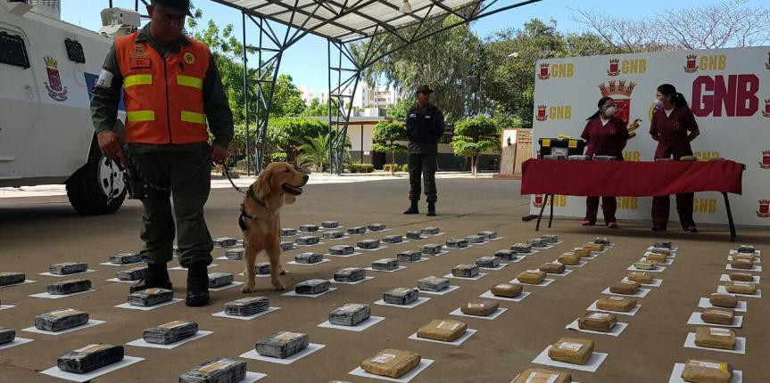 Golpe al Narcotrafico FANB detuvo ciudadano con 159 panelas de droga vía Falcón