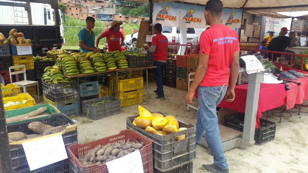 feria-del-campo-macarao-3