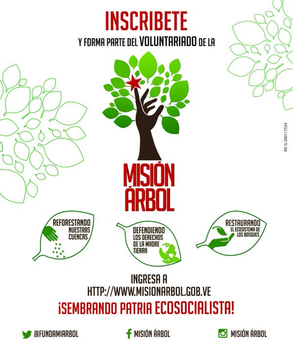 mision arbol