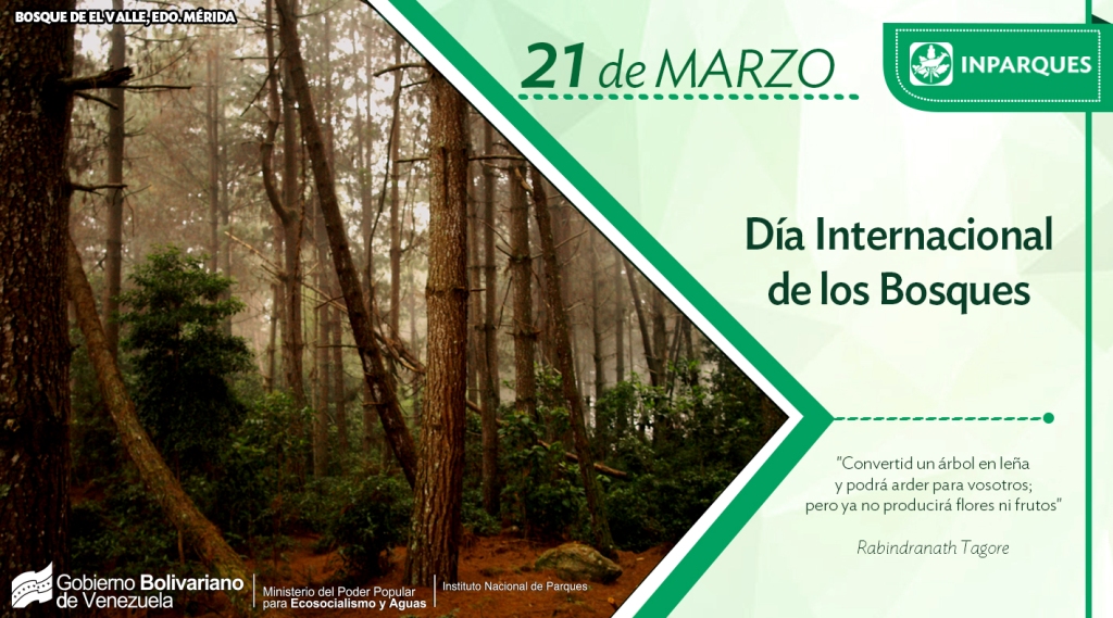 21-Dia internacional de los bosques