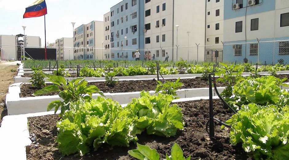 agricultura-urbana