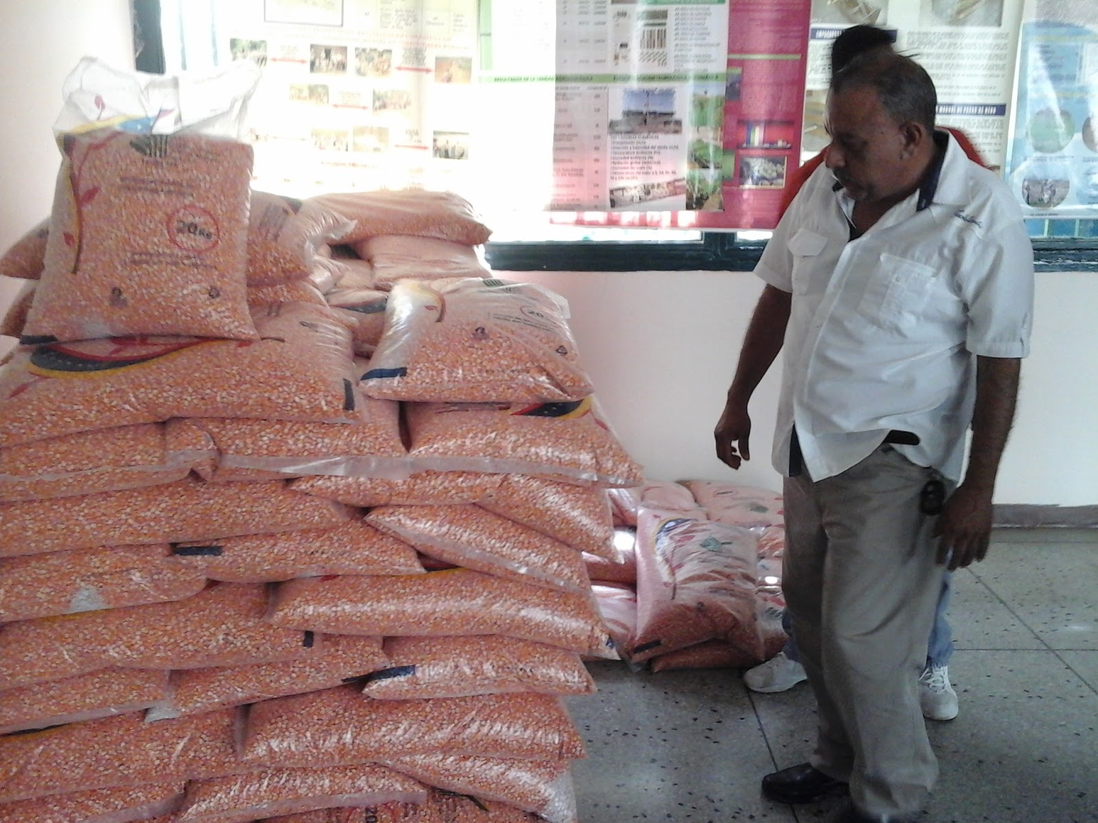 INIA Falcón inició captación de productores para producción de semillas de maíz 1