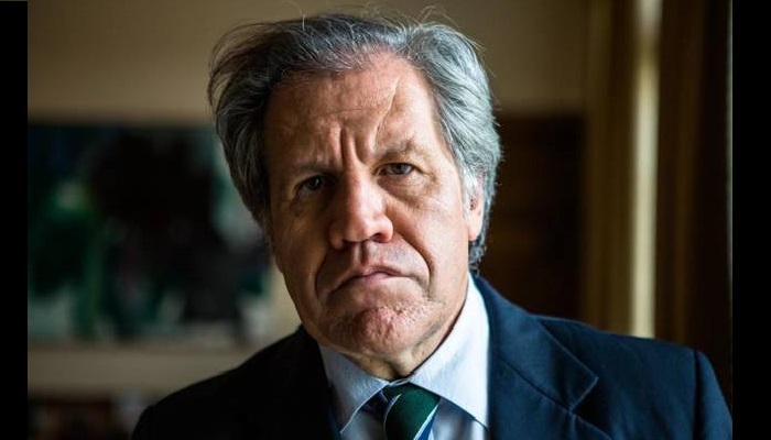 LUIS-ALMAGRO-1