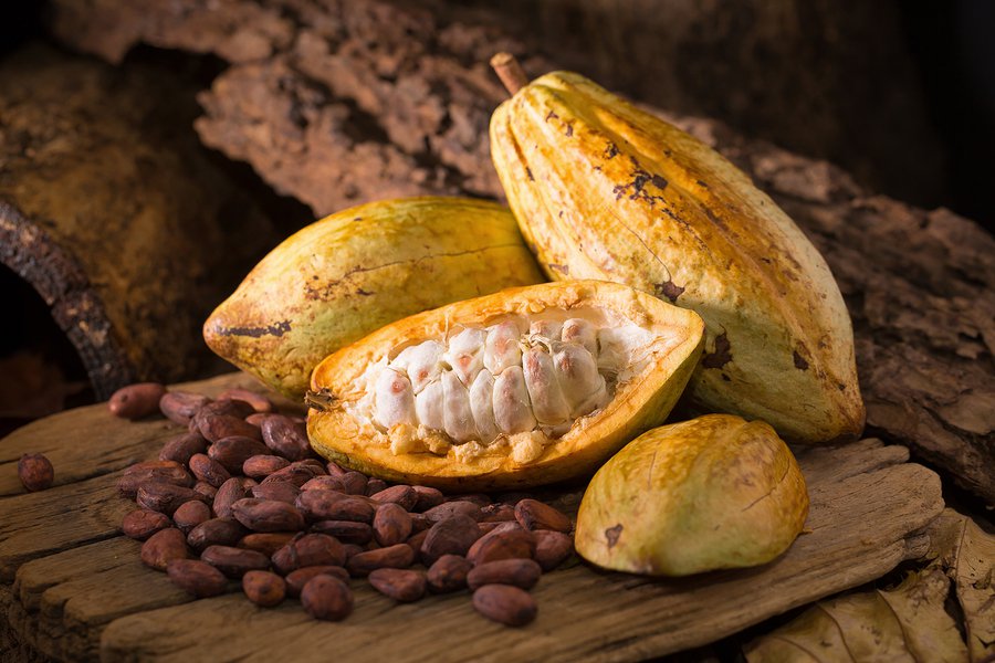 bigstock-Cacao-Fruit-Raw-Cacao-Beans-181957312