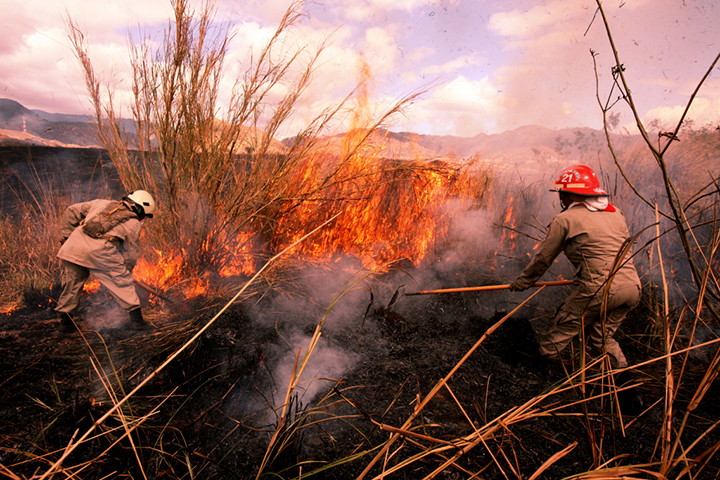 honduras-incendios-dificultas-hectareas