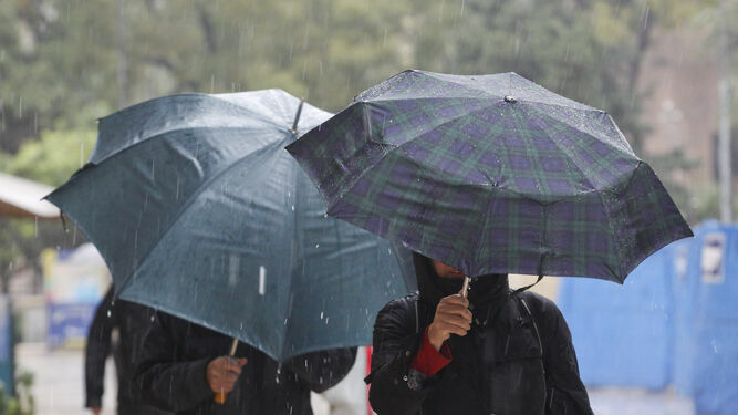 personas-pasean-lluvia-protegidos-paraguas_1390971053_105994847_667x375