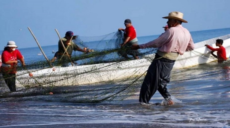 pescadores-vargas-amenazan-con-paralizar-los-muelles-por-falta-aceite_221684