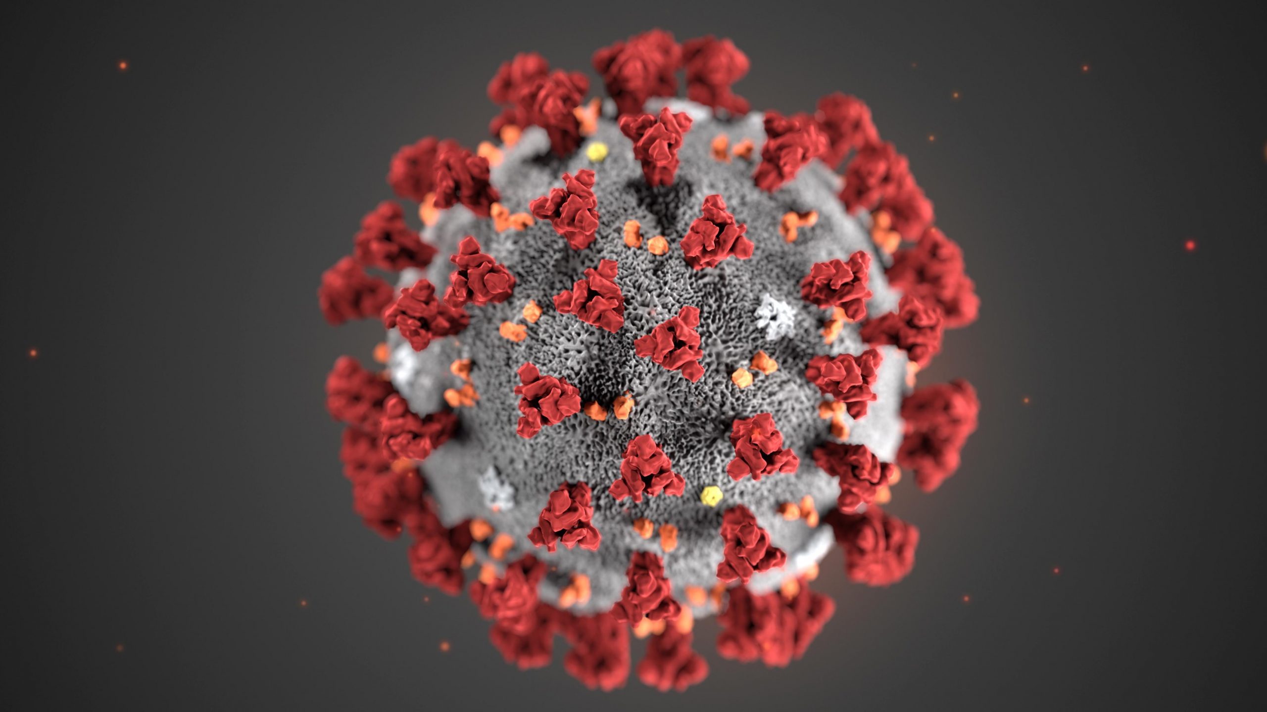 coronavirus-scaled