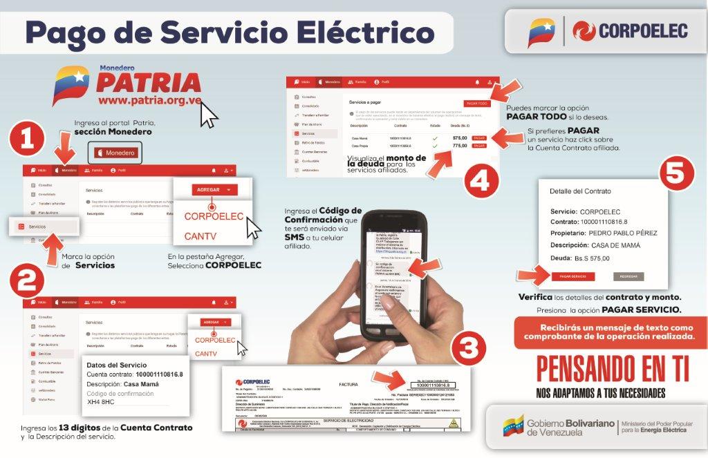 PAGO SERVICIOS PATRIA