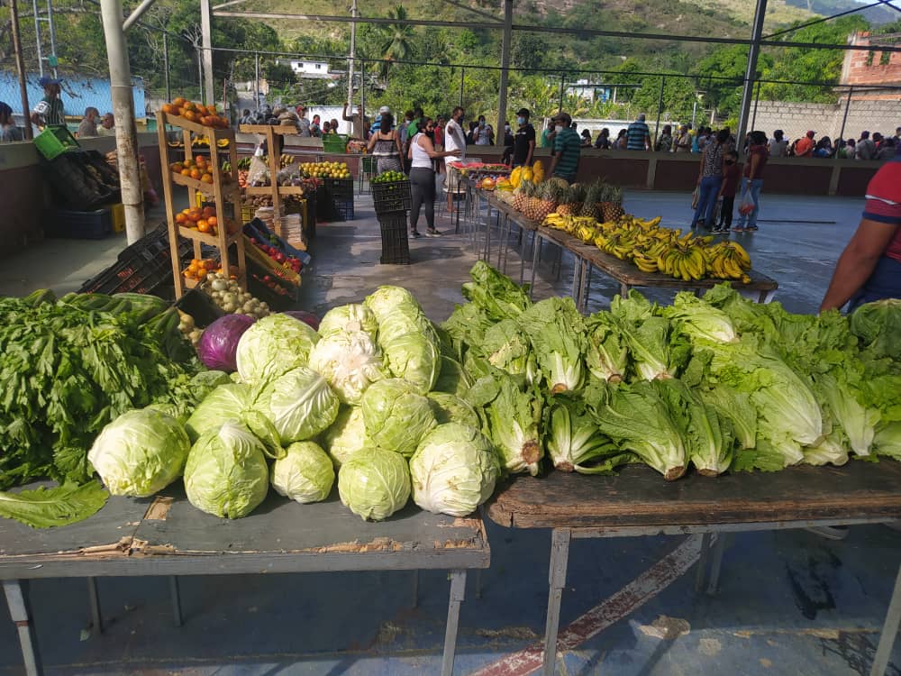 Más de 3 mil familias en el municipio Puerto Cabello fueron