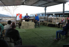 Miércoles productivo proteína animal