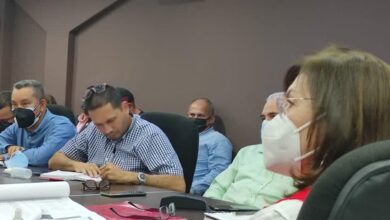 Gianluigi Di Martino: Jacqueline Faría es el elemento de reunificación del Psuv Zulia