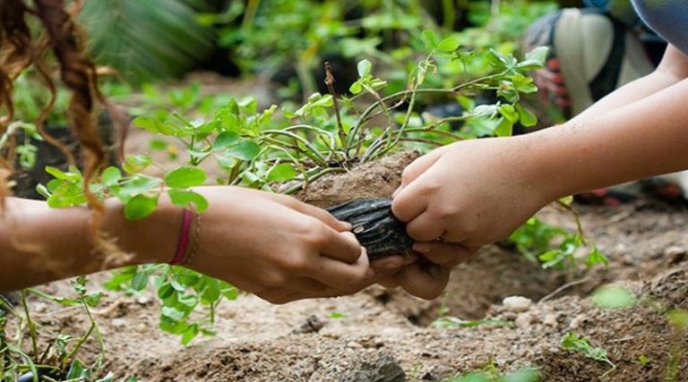 Presidente Maduro Celebra el Aniversario 16 de la Misión Árbol Yvke