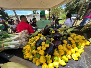 Ministerio de Agricultura Urbana inspeccionó espacios productivos en Aragua