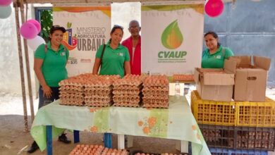 Mil familias del estado Sucre se benefician con la producción de huevos