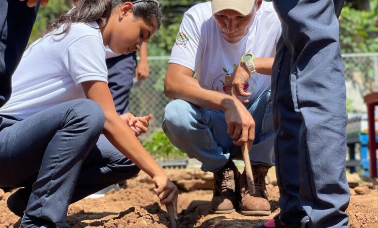 Estudiantes de Brisas de Aragua en Las Tejerías iniciaron la siembra de hortalizas en huertos escolares
