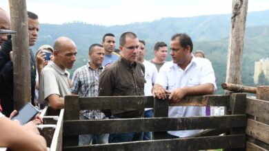 Comunas de Caracas firmaron convenio para impulsar el Circuito Económico Comunal de cría animal