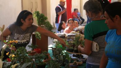 : Orsini realizó “Feria Soberana Campesina” Con productores de Libertador