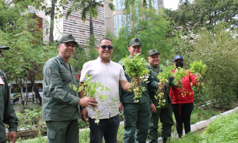 Ejército Bolivariano conoció experiencia productiva del Organopónico Bolívar I