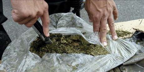 Monagas: Privados de libertad tres hombres por presunto tráfico de 32 panelas de marihuana