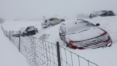 En los EE.UU. aproximadamente 13 personas fallecieron debido a la tormenta invernal