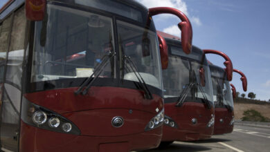 "Ruta Turística Serie del Caribe" contará con más de 250 autobuses