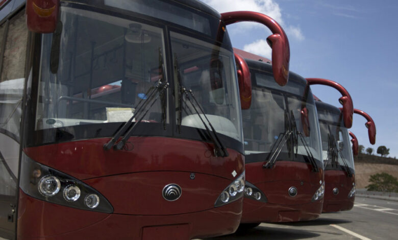 "Ruta Turística Serie del Caribe" contará con más de 250 autobuses