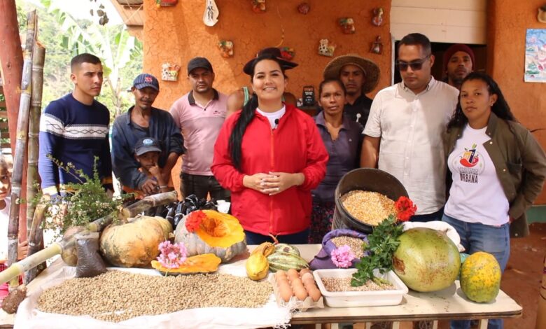 Agricultores de Coche mantienen experiencia productiva en el km 7 de la Panamericana