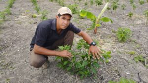 Mi Clap es Productivo Fortalece la Producción de Hortalizas en el Estado Delta Amacuro