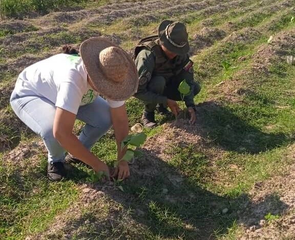 Técnicos del Minppau atiende a Zodi Apure con más de 100 plántulas de hortalizas