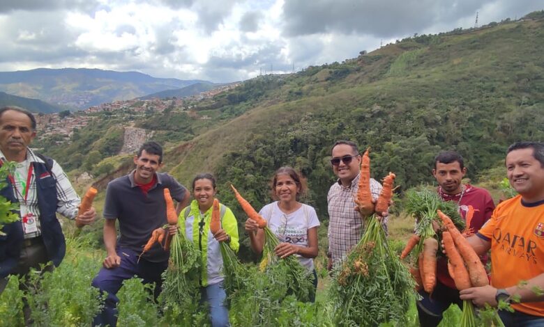 Gobierno Bolivariano visita y apoya  a Agrourbanos de Distrito Capital  para fortalecer la producción Agrícola